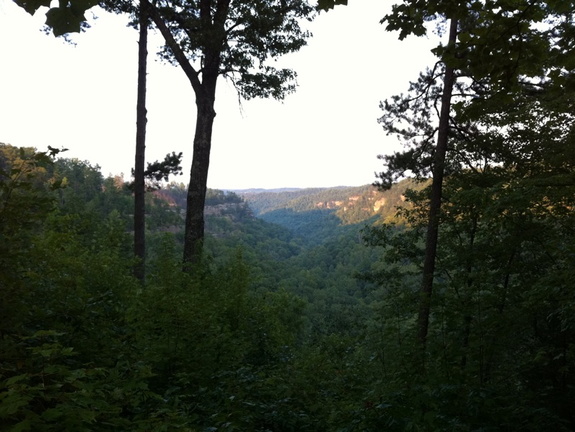 Auxier Ridge, a year after the fire